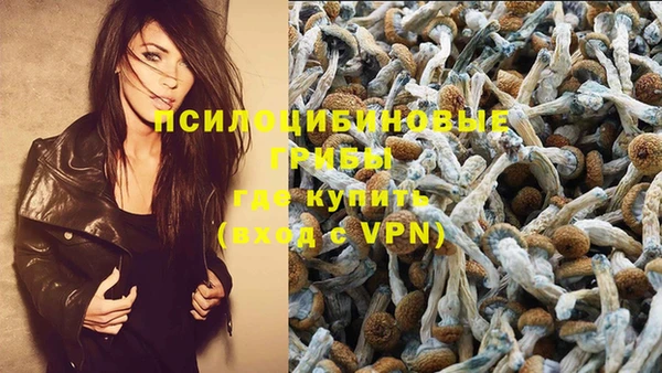 МДПВ Алексин